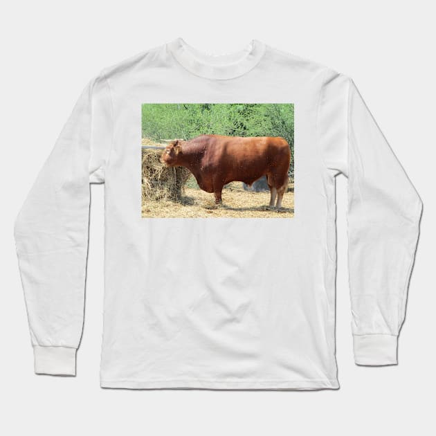 Mini-Me the Bull Long Sleeve T-Shirt by DMArtwork